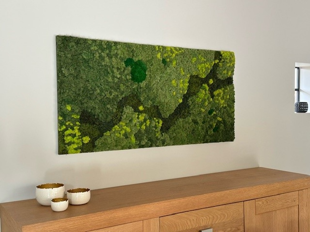 FotoWaarom los mos perfect is voor creatieve wanddecoratie